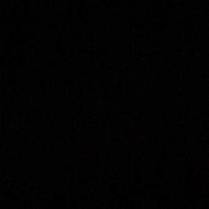 Meet your Posher, George